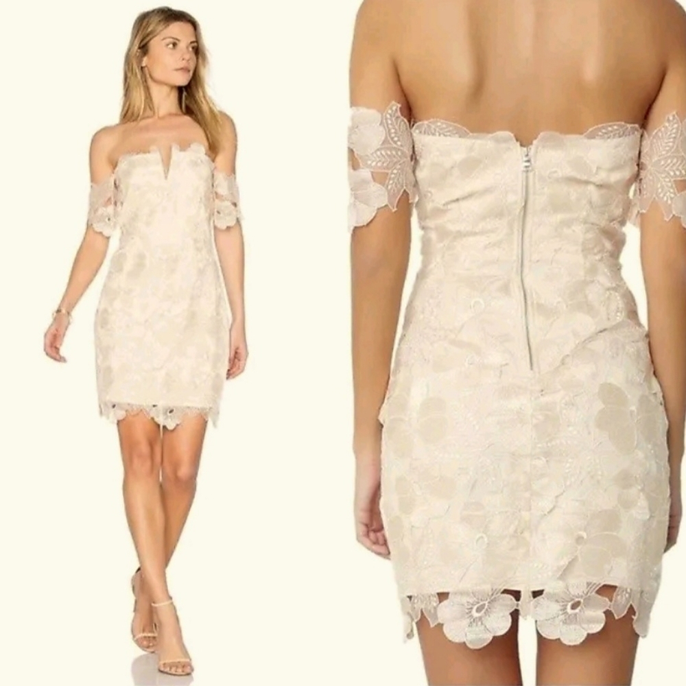 Saylor Champagne Lace Off-Shoulder Cocktail Dress